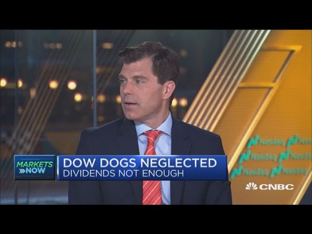 Dow of the dogs : tout ce que vous devez savoir sur ce phénomène canin 1 dow of the dogs